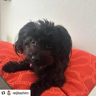 🩷Eny terrace🩷のヘアスタイル