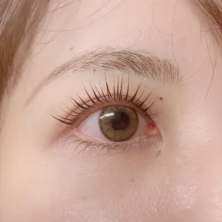 マツエク・マツパ y uの眉毛・アイブロウイメージ