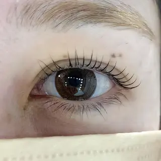 マツエク・マツパ Celeste Venus所属・🧸Celeste Venusのマツエク・マツパデザイン