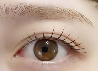 マツエク・マツパ 次世代まつ毛パーマ 上野御徒町店のマツエク・マツパデザイン