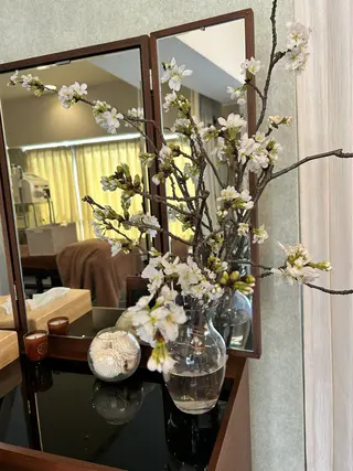 美容鍼灸サロン mahoroba院長のエステ・リラクイメージ