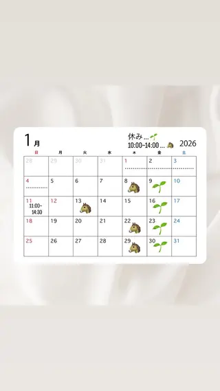 alm.所属・mayuka🐾 /カラー/まつパのヘアスタイル