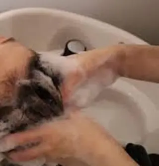 ミディアム KANA🌷 髪質改善のヘアスタイル