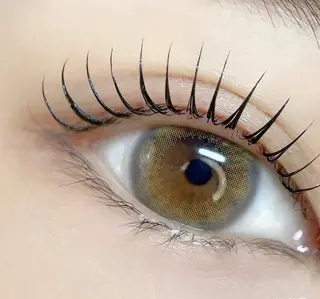 マツエク・マツパ 三浦  由美のマツエク・マツパデザイン