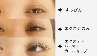 マツエク・マツパ 山田 友里のマツエク・マツパデザイン