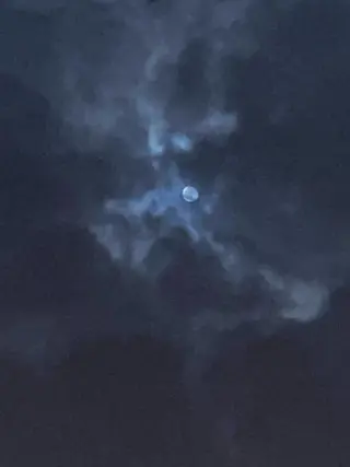 カラー特化美容師 /雪本☃️のヘアスタイル