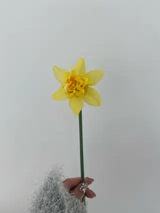 🌻花屋併設🌻濱 幸帆のヘアスタイル