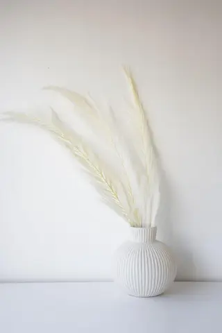 oyanagi 〰️の眉毛・アイブロウイメージ