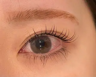 マツエク・マツパ Daisy lash 京橋店堀井のマツエク・マツパデザイン