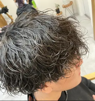 パーマ メンズ 三浦 寛都のヘアスタイル