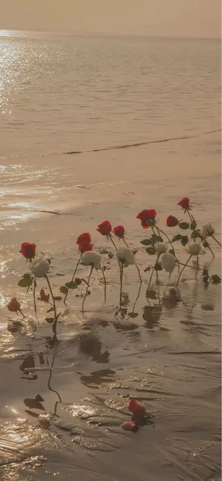 Iwasaki Nene☾店長のマツエク・マツパデザイン