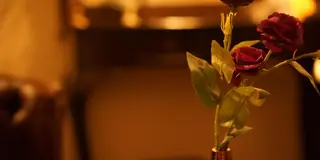 カラー パーマ ヘアアレンジ メンズ キッズ ネイル マツエク・マツパ 💋久城 リエ💋小顔&痩身のエステ・リラクイメージ