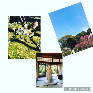 ヘアアレンジ greenleaf (グリーンリーフ)所属・山田 紫乃のマツエク・マツパデザイン