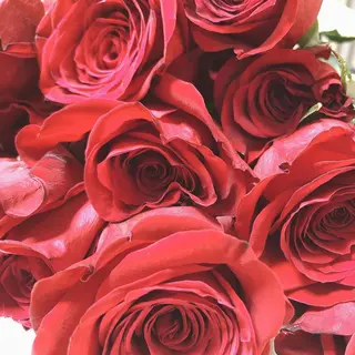 マツエク・マツパ なかむら 🪡のマツエク・マツパデザイン