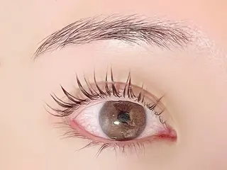 マツエク・マツパ ブレラ所属・Rumi 【ブレラ】のマツエク・マツパデザイン