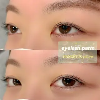 マツエク・マツパ 🩵ANELA東口 齋藤琴音💚のマツエク・マツパデザイン