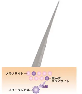 カラー ARC ginza所属・お母さんの白髪対策 ・白髪染め/松田直敏のヘアスタイル