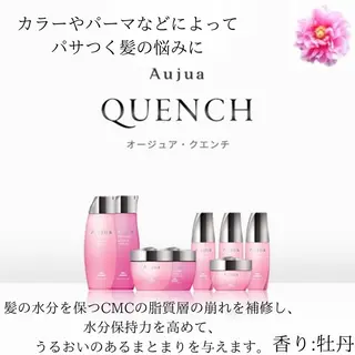 【大人ショート/ボブ モデル募集】　Seiのヘアスタイル