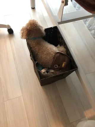 脱毛サロン RP（ルピ）のエステ・リラクイメージ