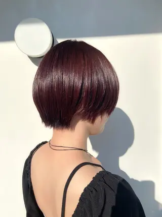 ショート カラー 🎀安藤 綾伽のヘアスタイル