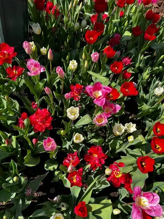 ð
ð
€ð
©ð
ð
salonã®ãšã¹ãã»ãªã©ã¯ã€ã¡ãŒãž