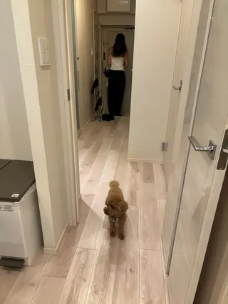 脱毛サロン RP（ルピ）のエステ・リラクイメージ