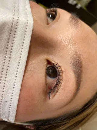 マツエク・マツパ まつ毛、毛穴ケア 専門サロンPlumeのマツエク・マツパデザイン