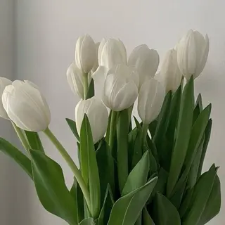 マツエク・マツパ Yuuka. 🎀✨のマツエク・マツパデザイン