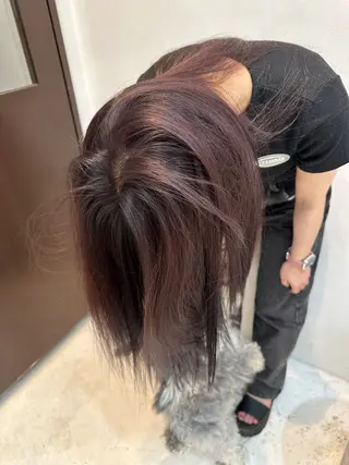 セミロング カラー kai .のヘアスタイル