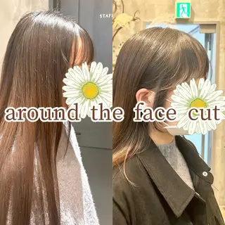 セミロング ボブ・レイヤー 田中 励也のヘアスタイル