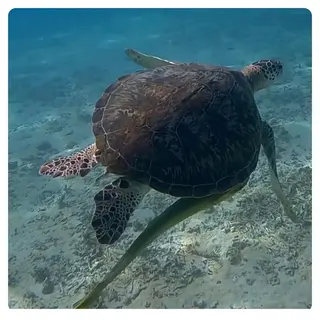 神山 ビューティー・アイのマツエク・マツパデザイン