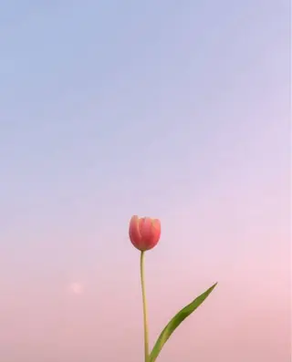 🕯️maaz lash1🕯️のマツエク・マツパデザイン