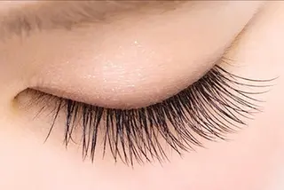 マツエク・マツパ Orange  Camelのマツエク・マツパデザイン