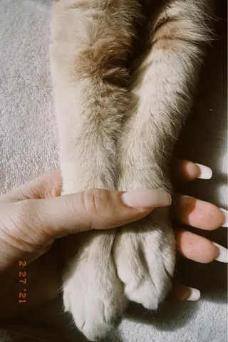 マツエク・マツパ OLIVIA EBISU松村　代表のマツエク・マツパデザイン