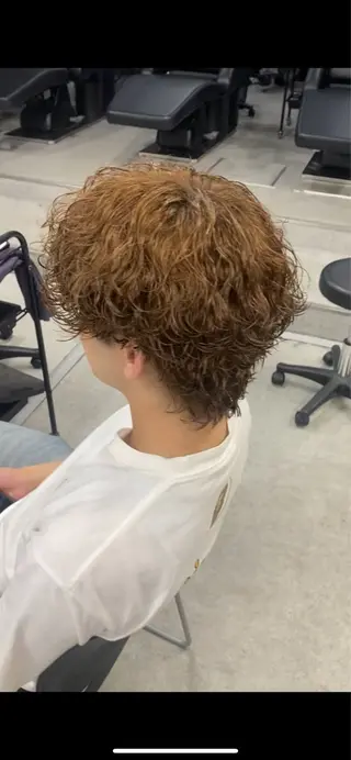 カラー パーマ メンズ 福井祥太／海外風 /プードルパーマのヘアスタイル