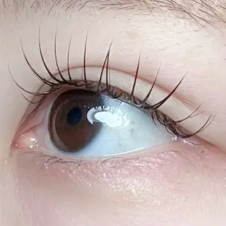 マツエク・マツパ toiro所属・toiro 鎌取のマツエク・マツパデザイン