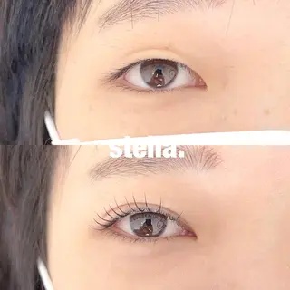 マツエク・マツパ Stella eyelashのマツエク・マツパデザイン