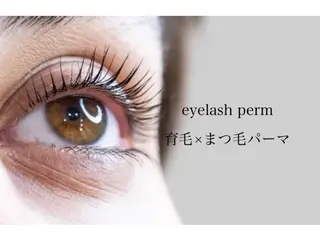 マツエク・マツパ Tendre Rêveのマツエク・マツパデザイン