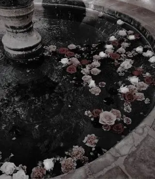 みさき 🫧 ͛.*のマツエク・マツパデザイン