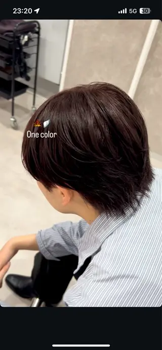 ショート 🖤韓国系🇰🇷カ ラー/kokona❕のヘアスタイル