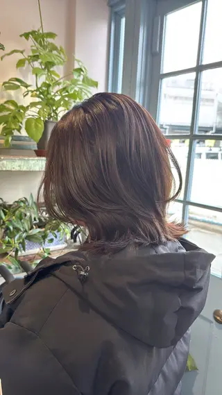 ミディアム カラー Sakura .のヘアスタイル