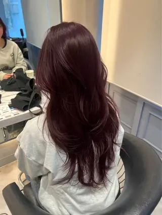 カラー 韓国レイヤーカット/ 縮毛矯正/羽田航のヘアスタイル