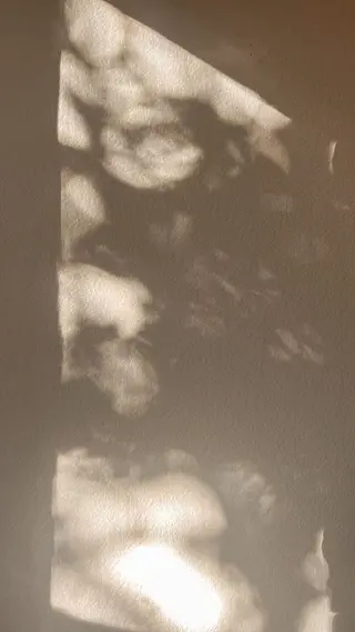 アイブロウ m♡ eyelashのマツエク・マツパデザイン