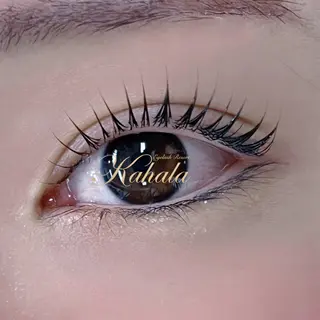 マツエク・マツパ R🌹 ⁺⊹˚.のマツエク・マツパデザイン