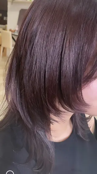 ミディアム 韓国/レイヤー/ メンズパーマ/真由のヘアスタイル