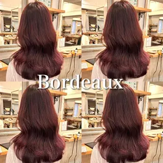 セミロング カラー SALOWIN 新宿三丁目EAST所属・韓国レイヤー🇰🇷 layercut✂️のヘアスタイル