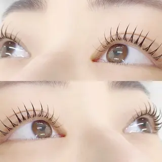 マツエク・マツパ 🌼Alba🌼 犬馬塲のマツエク・マツパデザイン