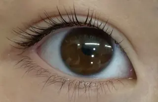 マツエク・マツパ KANGOL BEAUTY SALON Eyelash アルカキット錦糸町店所属・板谷 弥生のマツエク・マツパデザイン