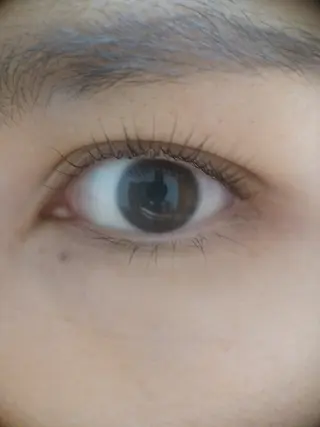 マツエク・マツパ 岡崎 良美のマツエク・マツパデザイン