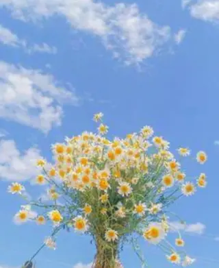 パーマ メンズ Amour Akala .hk　（アムールアカラ）所属・Amour Akala.hkのヘアスタイル